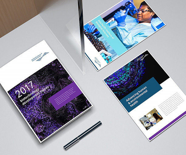 信息系統設計理論的結構解析 —— 融入“北京品牌設計公司”視角