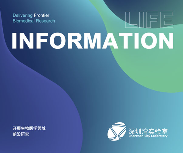 廣州創業者必看：logo設計避坑指南！