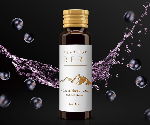 重塑速影：摩托車零配件公司Logo設計的煥新征途